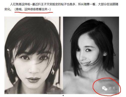 明星黑料最新,明星黑料曝光,真相背后引人深思